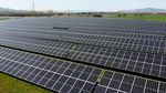 Fermierii și procesatorii pot obține finanțare de până la 100% pentru investiții în energia renegerabilă