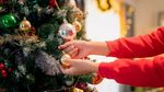 Preferințele românilor pentru bradul de Crăciun. La ce se uită atunci când pleacă la cumpărături