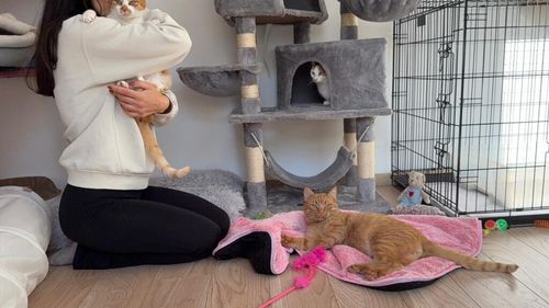 EXCLUSIV | Iulia Marin, tânăra vegană care salvează zeci de animale fără să aibă încă un ONG: ,,Toate ființele sunt la fel. Omul nu e cu nimic mai presus decât un animal’’ (VIDEO & FOTO)