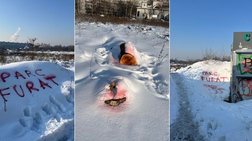 FOTO VIDEO Protest la Parcul IOR: „Parc furat”, scris cu suc de sfeclă pe zăpadă și turnat peste trunchiurile de copaci tăiați ilegal