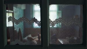 VIDEO Academia Europeană de Film a premiat filmul ”Nanu Tudor”, al Olgăi Lucovnicova, la cel mai bun scurtmetraj