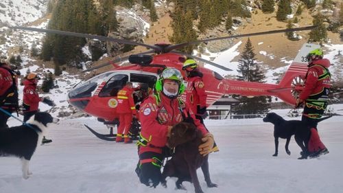 Câinii Salvamont: Acolo unde speranța „prinde miros”. În 2025, eroii cu blană au participat la peste 100 de misiuni desfășurate în mediul natural și în avalanșă (VIDEO)