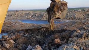 Specialiștii evaluează gradul de contaminare pe terenul unde au fost îngropate ilegal oile înecate pe nava eşuată în Portul Midia / Făptașii riscă o pedeapsă cu închisoare de până la 5 ani
