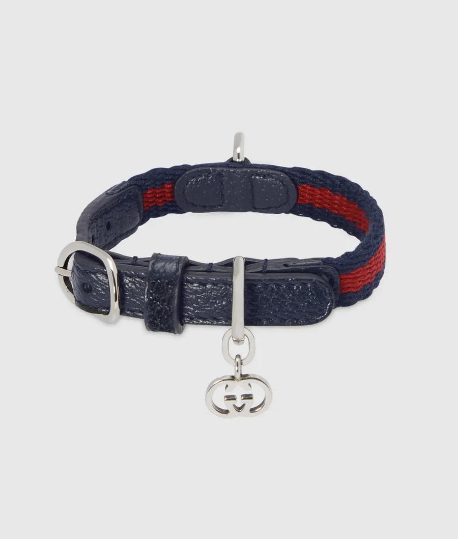 moda, moda pentru caini, accesorii pentru caini 