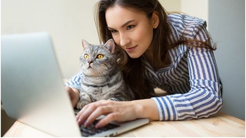 De ce pisicile adoră să stea pe tastatură: Explicația adorabilă care te va face să zâmbești