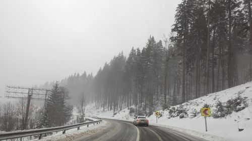 Trafic rutier în condiţii de iarnă între Sinaia şi Predeal / Ninge viscolit, iar carosabilul este acoperit cu zăpadă