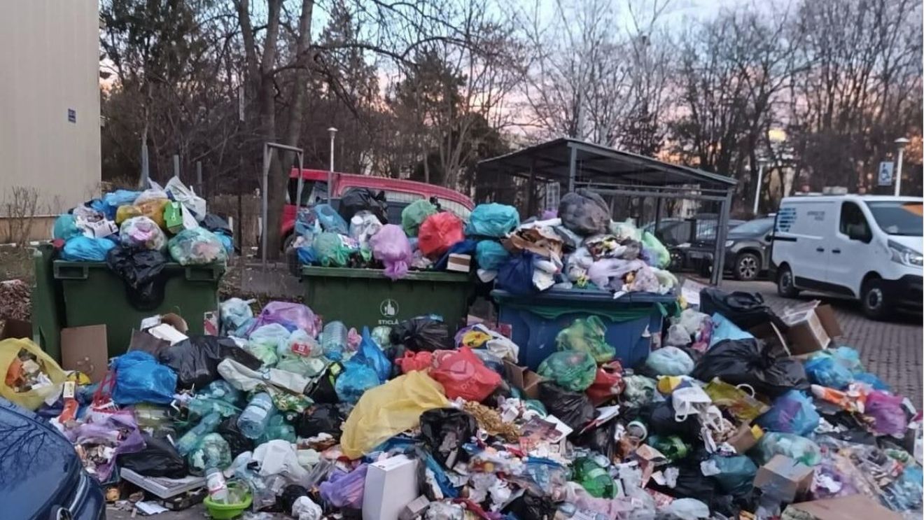Amenzi de 1,6 milioane lei aplicate de poliţiştii locali din Constanța pentru depozitare ilegală de deşeuri