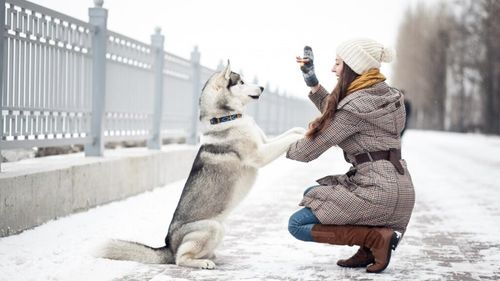 VIDEO EXCLUSIV | Cum îngrijești blana câinelui în sezonul rece? Dar pe a pisicii? La ce sa fii atent: Sfaturile medicului veterinar Beatrice Ilea