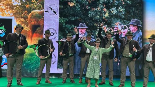 O fată de 12 ani din Covasna, desemnată cea mai bună gornistă la expoziția internațională de Arme, Pescuit și Vânătoare din Ungaria / ”A fost prima noastră prezentare”