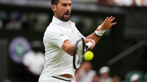 VIDEO: Novak Djokovic, în semifinale la Wimbledon după un meci epic de peste cinci ore