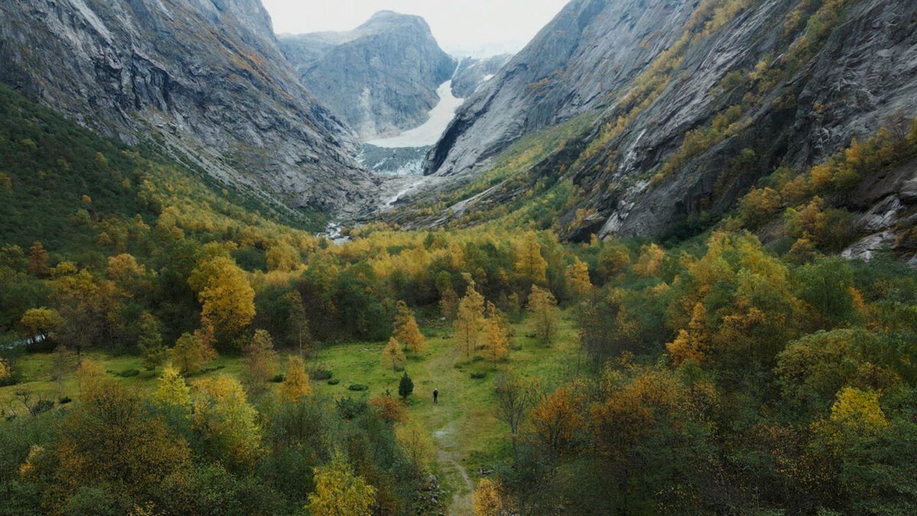 Filmul Songs of Earth produs de marele regizor Wim Wenders deschide a doua ediție a Festivalului Lynx de la Brașov