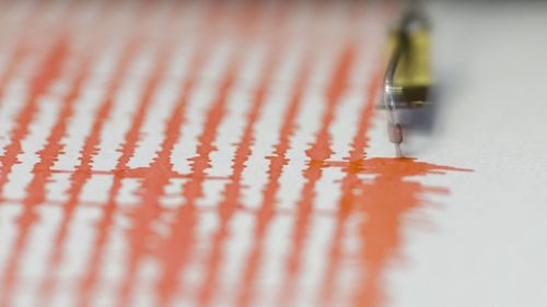 Cutremur cu magnitudinea 4,4 în Gorj