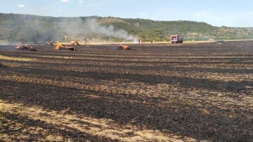 Numărul incendiilor de vegetaţie s-a dublat în Vâlcea / În acest an, pompierii au intervenit la aproape 300 de astfel de incendii