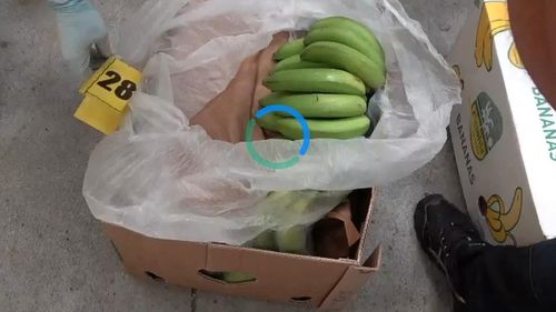 BREAKING Jumătate de tonă de cocaină în valoare de 25 de milioane de euro descoperită într-un depozit de lângă București