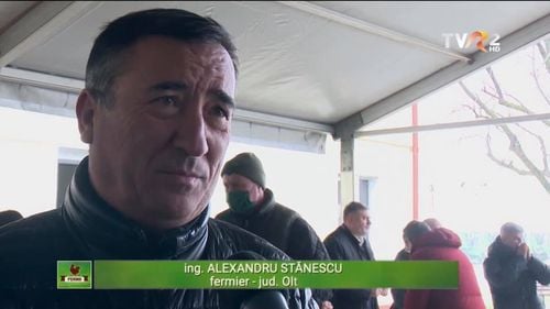 Curtea Constituțională a decis că numirea lui Alexandru Stănescu la ANRE a fost neconstituțională / Fratele secretarului general al PSD a demisionat în urmă cu două săptămâni