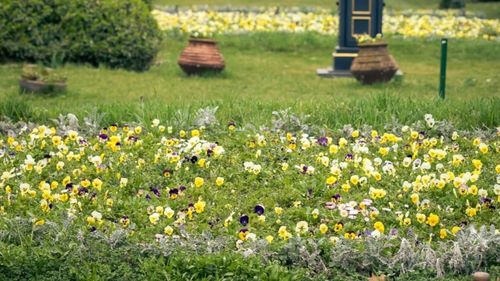 Nicușor Dan: Evenimentul din Cișmigiu la care sunt așteptate 2000 de persoane, mutat în Parcul Unirii