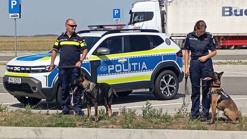 Acțiune de amploare la Vama Borș II / Polițiștii bihoreni au scos în teren câinii antrenați să depisteze drogurile și tutunul