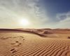 49 de oameni au murit de sete în deșert, în Niger, după ce camionul lor s-a defectat / Doi supraviețuitori au mers zeci de kilometri pentru a cere ajutor