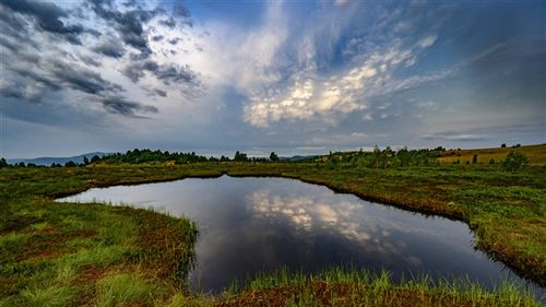 Destinație de weekend: Traseu spre Mlaștina Iezerul Mare din Munții Igniș / Locuri cu o floră aparte, inclusiv cu plante insectivore