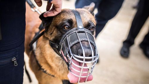 ActiveWatch: Directoratul Național de Securitate Cibernetică  a încurcat grav circuitele / Solicităm ridicarea restricțiilor impuse site-ului aktual24.ro și eliminarea acestuia de pe lista de surse maligne de fake news