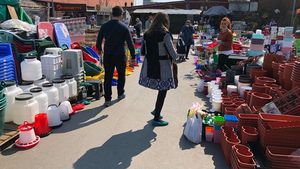 Autoritățile locale din Timiș solicită Guvernului să ridice interdicția de funcționare a târgurilor, bâlciurilor și talciocurilor