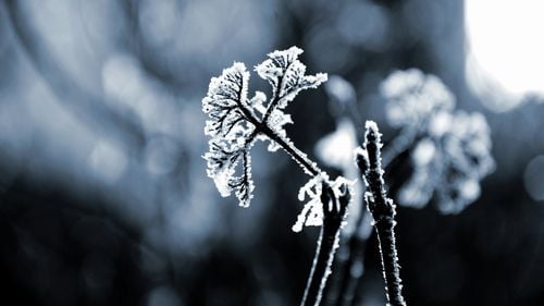Meteorologii au prelungit şi extins codul galben de ninsori până miercuri, la ora 10.00/ Sunt vizate zece judeţe din sudul României şi Capitala/ Vântul va sufla cu până la 45 de km/h, viscolind zăpada