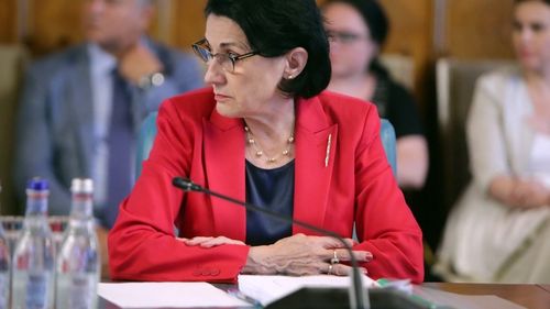 Andronescu a reluat într-o conferință, după ce a fost demisă, că ea a învățat să nu se urce cu un străin în mașină: Am făcut această afirmație încercând să ducem spre școala ce putem noi să ducem, ca aceste lucruri să nu se mai întâmple