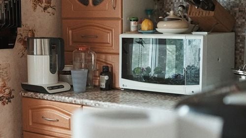 Studiu Cuptorul cu microunde, un focar de bacterii foarte bine adaptate: Klebsiella, Enterococcus și Aeromonas / "Este important să îl curățați după fiecare utilizare”