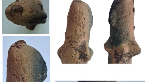 FOTO Figurină feminină veche de peste 7.500 de ani, descoperită de arheologi în apropierea municipiului Sfântu Gheorghe / Statueta a fost găsită, printre fragmente de vase, urme de lut ars şi cărbune