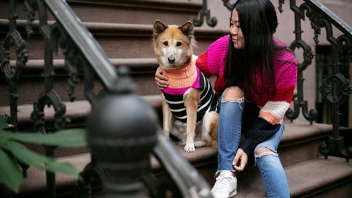 Criza demografică și boom-ul animalelor de companie: Povestea Chinei care îmbătrânește
