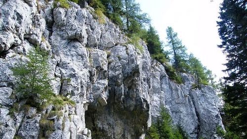 Războiul ariilor protejate: Organizaţiile de mediu vor să sesizeze Curtea Constituţională prin intermediul Avocatului Poporului şi să genereze o stare de pre-infringement la Comisia Europeană