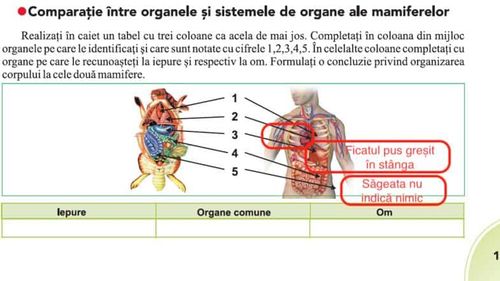 HotNews.ro: Erori flagrante în manualul unic de biologie. Inima și ficatul dispuse greșit în corp, elevii sunt întrebați cine produce urina
