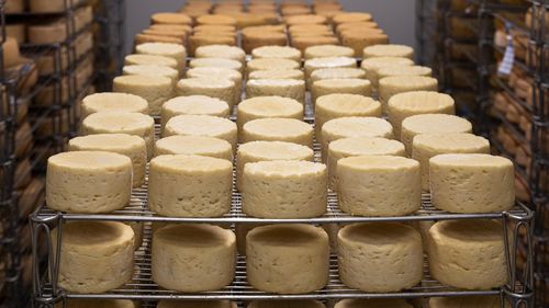 România a crescut cu 40% producția de brânză, după aderarea la Uniunea Europeană / 15.000 de tone, livrate în 2023