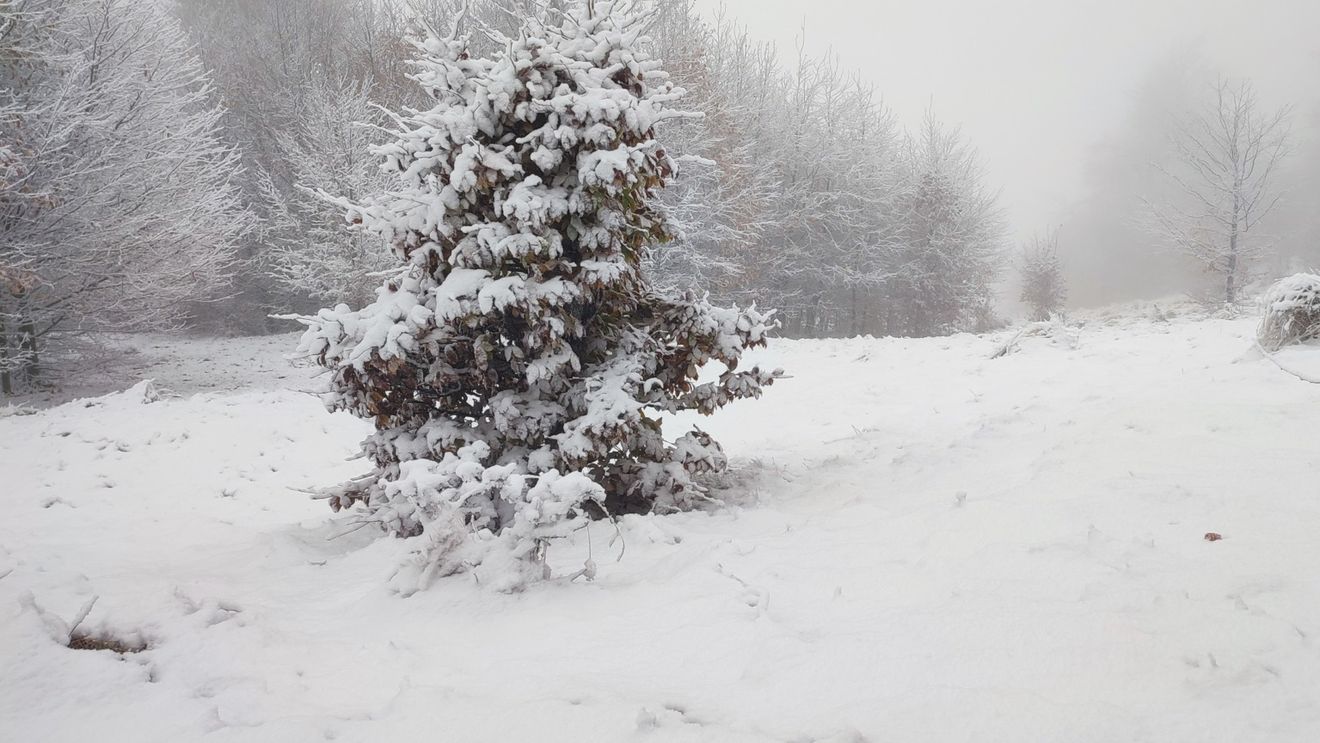Prima ninsoare din acest sezon: Strat de zăpadă de 7-8 centimetri în zonele înalte din județul Sălaj