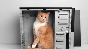 Fizicienii au înviat „pisica lui Schrödinger” cu șapte vieți în laborator. Experimentul științific schimbă pentru totdeauna lumea digitală