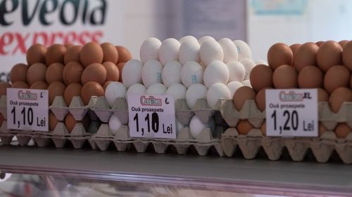 BREAKING Prima controversă PSD-PNL în noul guvern: premierul Ciolacu respinge categoric propunerea ministrului de Finanțe pentru scăderea TVA la alimentele de bază