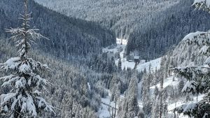 Risc însemnat de producere a avalanşelor în Munţii Rodnei / Până luni seară, vremea va fi rece, geroasă la altitudini mari în întreaga zonă montană