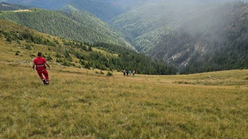 VIDEO Patru persoane au murit și una este grav rănită, după ce o mașină care se deplasa pe un drum forestier din localitatea argeșeană Albeștii de Muscel a căzut într-o râpă / Victimele ar fi fost proiectate în afara autovehiculului