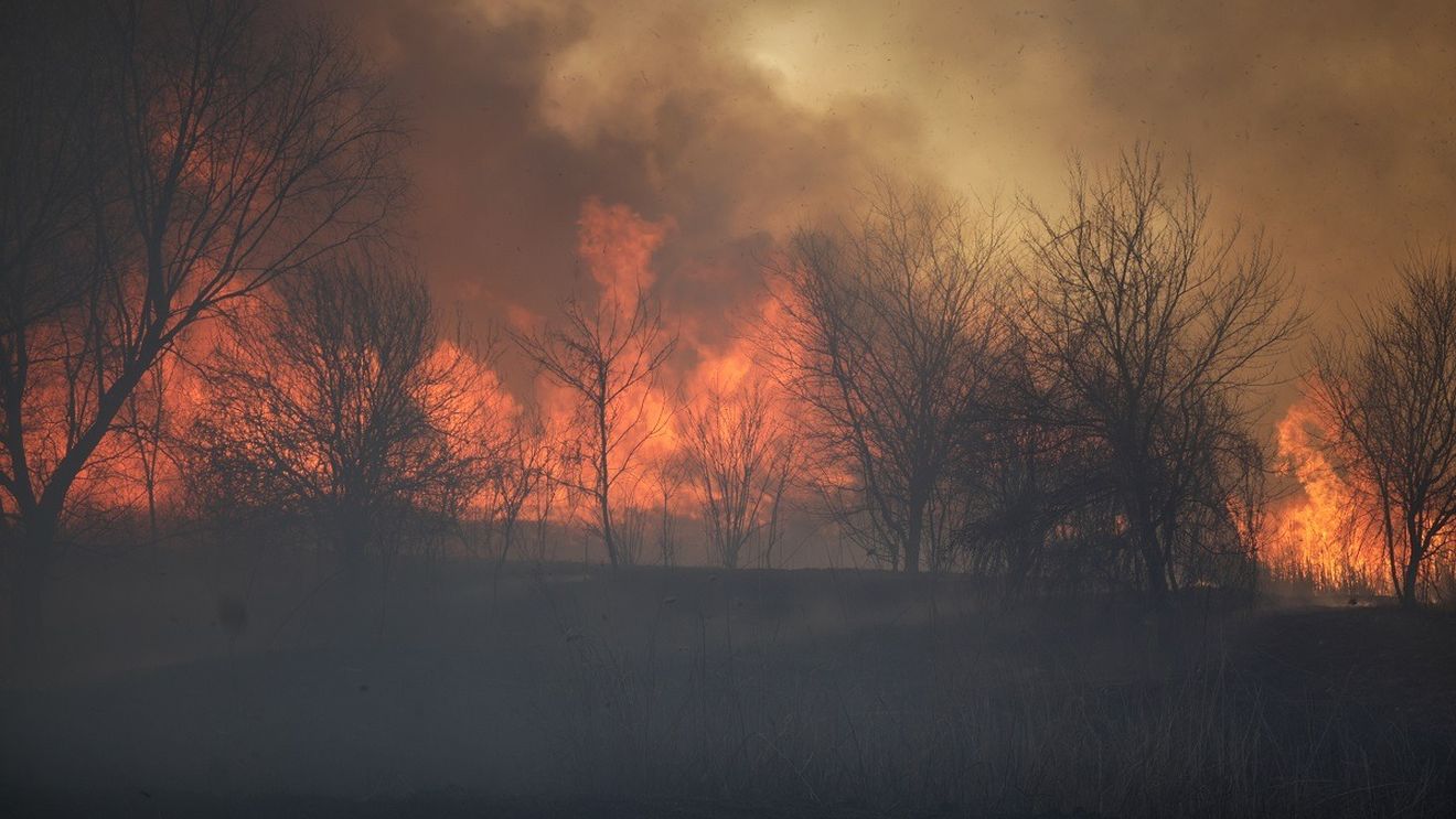 UPDATE Incendiul din ostrovul Tatanir din Tulcea a fost lichidat după ce s-a întins peste 500 de hectare