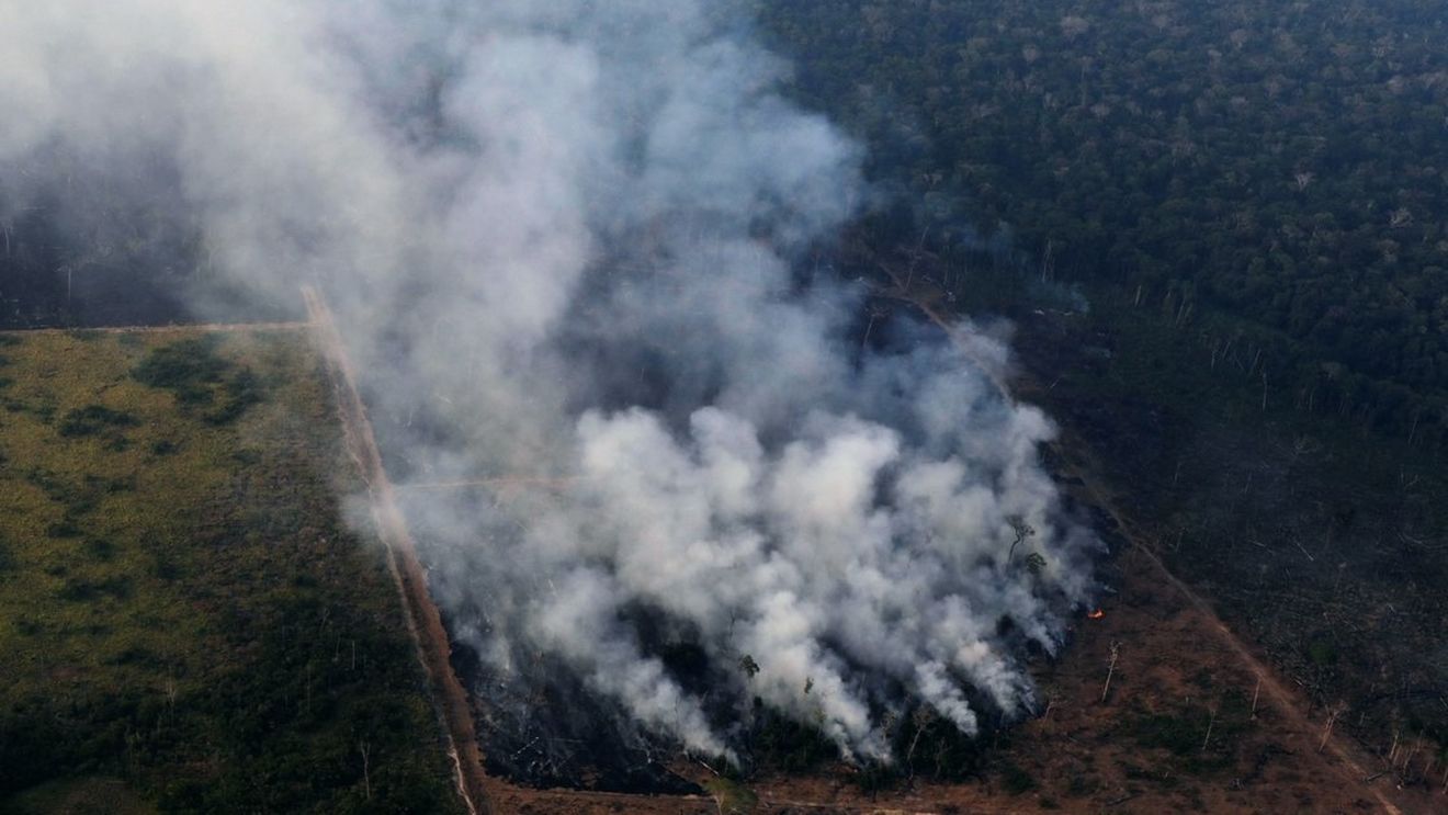 Amazonul, afectat probabil de cele mai devastatoare incendii din ultima decadă