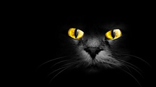 Sondaj INSCOP: 75,3% dintre români consideră norocul important în viaţă