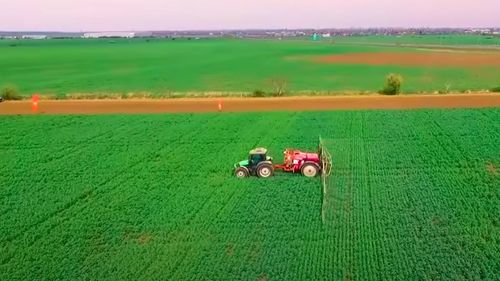 Doi migranți au fost călcați cu tractorul. Oamenii au trecut granița fraudulos și se odihneau într-un lan de rapiță când au fost loviți de tractor