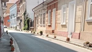 FOTO Locuitorii unei străzi din Oradea au montat jardiniere cu flori pentru a împiedica maşinile să urce pe trotuar