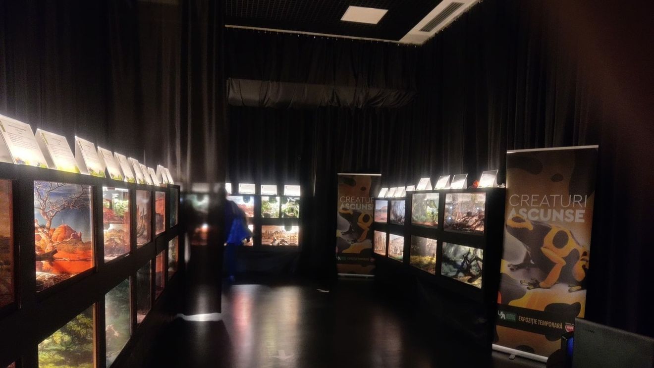 Ce expoziții pot fi văzute în muzeele Capitalei în minivacanța de 1 Decembrie