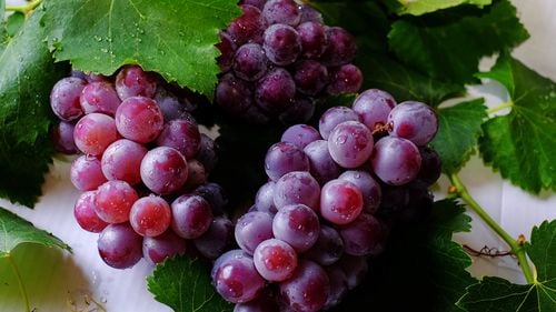 STUDIU Atât strugurii de masă, cât şi cei de vin au apărut în urmă cu 11.000 de ani, în Asia de Vest și Caucaz