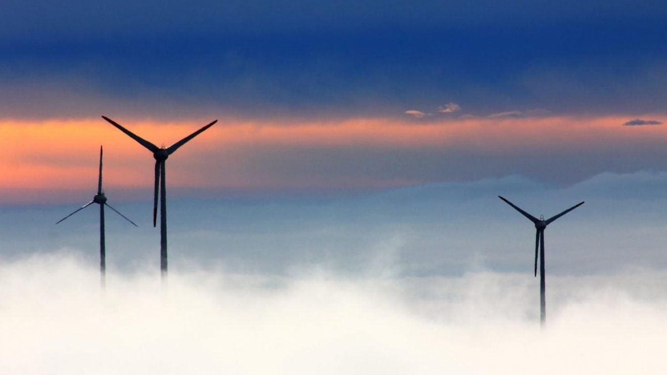 Un gigantic parc de turbine eoliene pe mare în Franța primește undă verde de la Bruxelles pentru ajutoare de stat / Pescarii protestează și acuză distrugerea speciilor marine