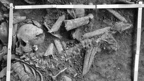 Descoperire: Oasele soldaților care s-au luptat cu Suleiman Magnificul ar fi fost aruncate într-o groapă comună din Horlești, județul Iași