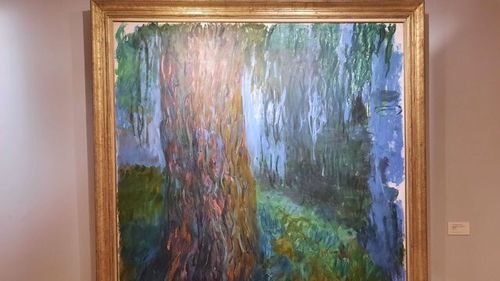 Participarea constantă la activități artistice și culturale poate încetini îmbătrânirea biologică