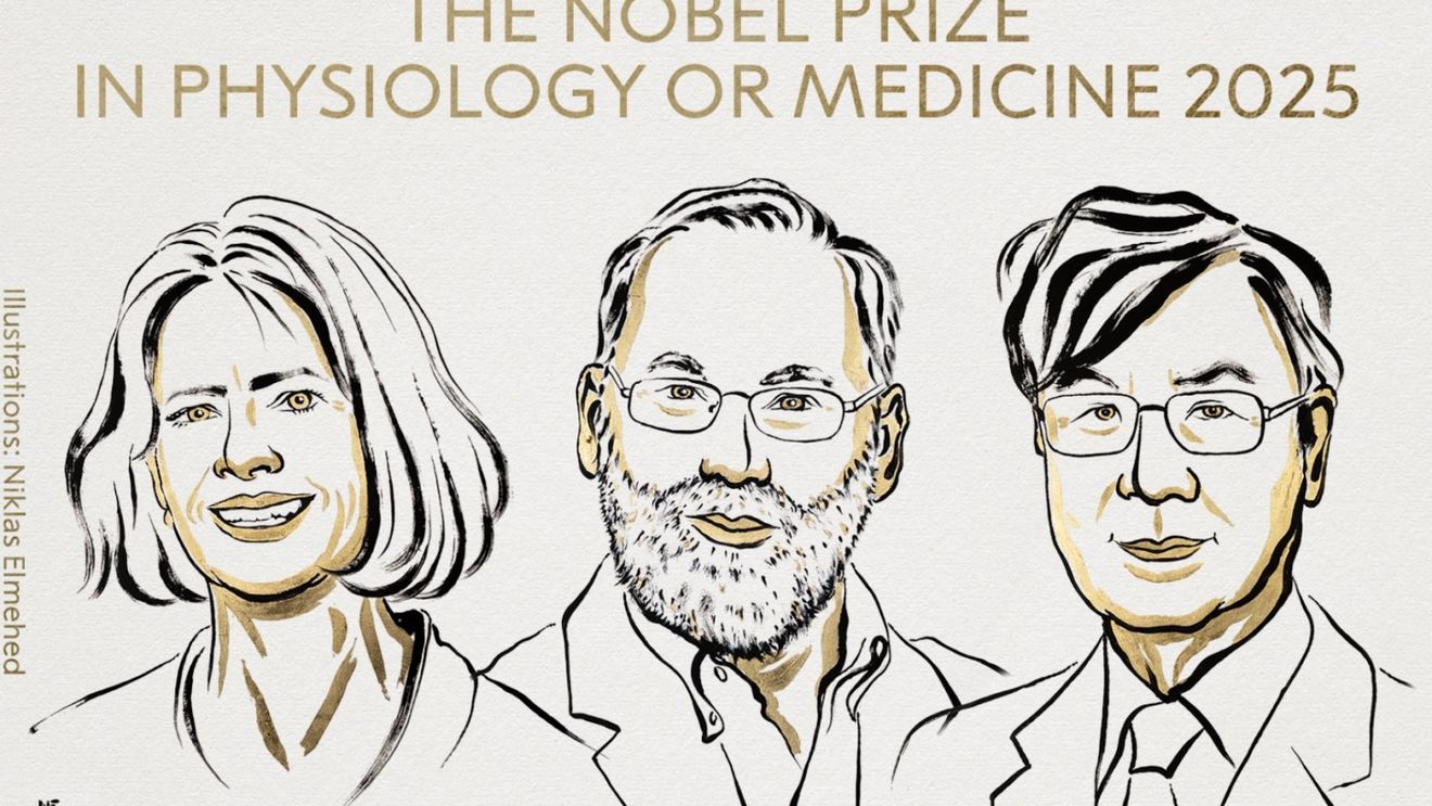 BREAKING Premiul Nobel pentru Medicină 2025: Mary E. Brunkow, Fred Ramsdell și Shimon Sakaguchi