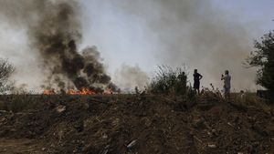 Sute de hectare din şapte judeţe, afectate de incendii de vegetaţie/ La intervenţii participă şi o aeronavă Black Hawk